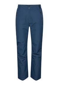 Rossignol Spodnie narciarskie RLIMP06 Granatowy Classic Fit. Kolor: niebieski. Materiał: syntetyk. Sport: narciarstwo #6