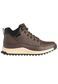 Buty trekkingowe Kappa Andem Lace. Kolor: wielokolorowy, czarny, brązowy #1