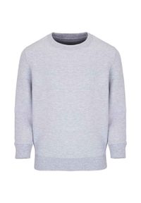 SOL'S - Bluza Dziecięca Columbia. Kolor: szary