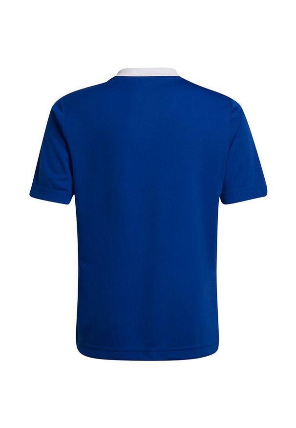 Adidas - Koszulka piłkarska dla dzieci adidas Entrada 22 Jersey. Kolor: niebieski. Materiał: jersey. Sport: piłka nożna