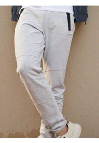 Sinsay - Joggery dresowe - szary. Kolor: szary. Materiał: dresówka