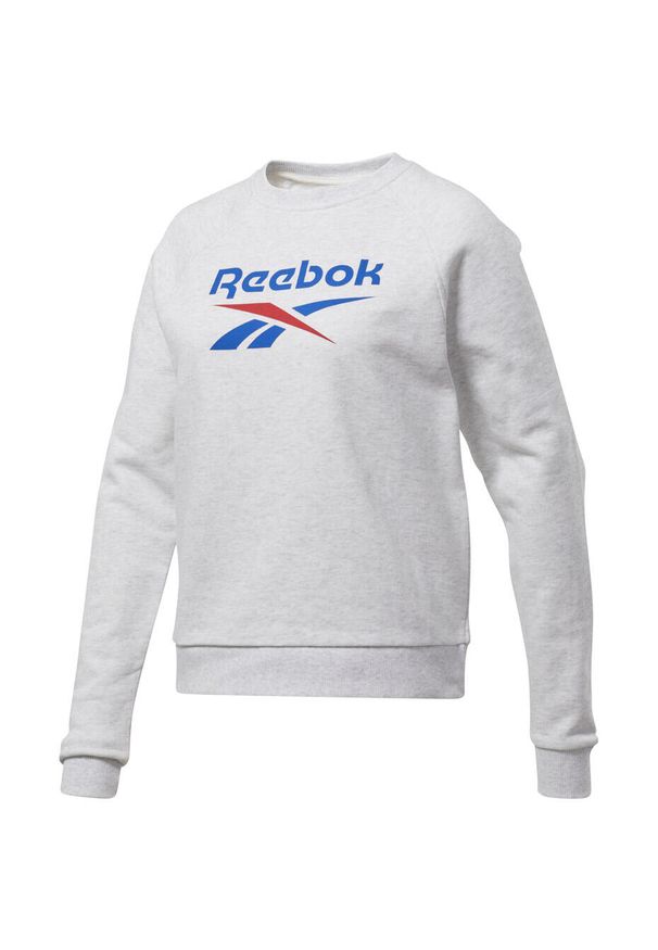 Bluza sportowa damska Reebok Classic Big Vector Crew FT. Kolor: szary