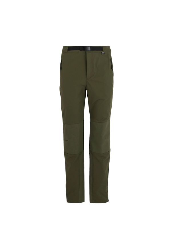 Regatta - Męskie Spodnie Do Chodzenia Montorn. Kolor: zielony. Sezon: lato. Sport: turystyka piesza