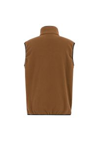 Regatta - Męska Kamizelka Polarowa Frankie. Kolor: brązowy. Materiał: polar. Styl: sportowy. Sport: turystyka piesza #2