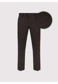 Pako Lorente - PAKO LORENTE – Brązowe spodnie garniturowe. Okazja: na spotkanie biznesowe. Kolor: brązowy. Materiał: poliester, wełna. Styl: biznesowy #5