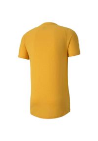 Puma - T-shirt Męski Evostripe Lite. Kolor: żółty