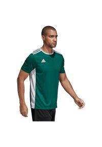 Adidas - Koszulka dla dzieci do piłki nożnej adidas Entrada 18 Jersey CD8358. Materiał: jersey. Technologia: ClimaLite (Adidas). Wzór: ze splotem. Sport: piłka nożna, fitness #1