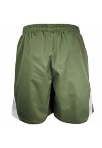 Spodnie sportowe męskie Reebok ART271394. Kolor: zielony. Materiał: materiał, syntetyk. Długość: krótkie