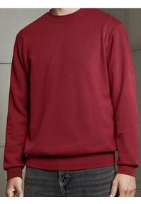 Sinsay - Bluza z długim rękawem - czerwony. Kolor: czerwony. Długość rękawa: długi rękaw. Długość: długie