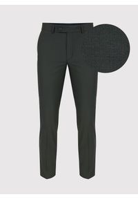 Pako Lorente - PAKO LORENTE – Zielone spodnie garniturowe P22SF-6G-022-Z-S. Kolor: zielony. Materiał: poliester, elastan, wiskoza