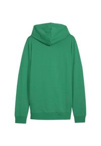 Bluza sportowa męska Puma B23621. Typ kołnierza: kaptur. Kolor: zielony, wielokolorowy
