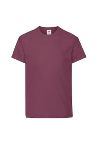 FRUIT OF THE LOOM - Oryginalna Koszulka Dla Dzieci. Kolor: czerwony, wielokolorowy, brązowy