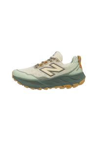 Buty do biegania w terenie damskie New Balance Fresh Foam X Hierro V9. Kolor: zielony. Szerokość cholewki: normalna. Sport: bieganie