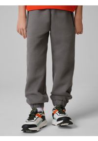 4f - 4F Spodnie dresowe ze strukturalnej dzianiny chłopięce - szare 158 (12-13 lat). Okazja: na co dzień. Kolor: szary. Materiał: dzianina, dresówka. Sezon: lato. Styl: casual, sportowy #2