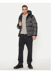 Schott NYC Kurtka zimowa UTAH2 Szary Regular Fit. Kolor: szary. Materiał: syntetyk. Sezon: zima #6