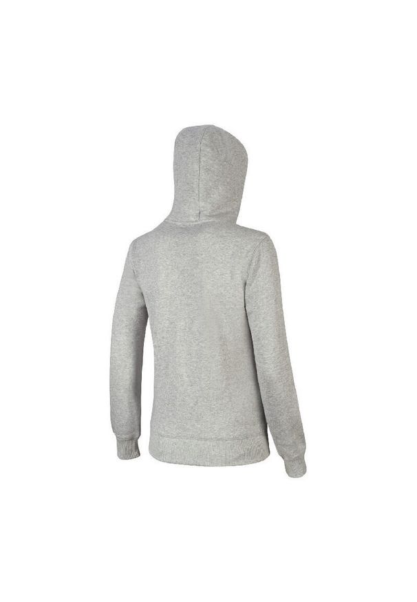 Bluza damska z kapturem Mizuno FZ. Typ kołnierza: kaptur. Kolor: szary