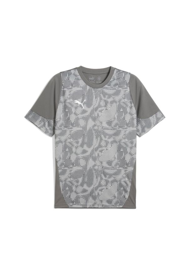 Koszulka Puma TeamCup. Kolor: szary. Materiał: materiał. Sport: piłka nożna