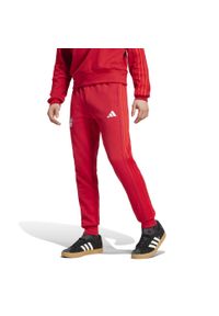 Adidas - Spodnie dresowe Bayern Munich Dna 2024/25. Kolor: czerwony. Materiał: dresówka. Sport: piłka nożna #2