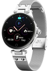 WATCHMARK - Smartwatch Watchmark WR6 Srebrny. Rodzaj zegarka: smartwatch. Kolor: srebrny