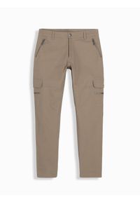 Ombre Clothing - Spodnie męskie cargo STRAIGHT LEG z kieszeniami zapinanymi na zamek – khaki V3 OM-PACG-0204 - XXL. Kolor: brązowy. Materiał: bawełna, elastan, materiał. Styl: elegancki #7