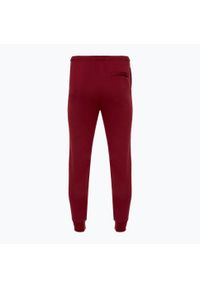 Spodnie męskie Nike Club Fleece Joggers. Kolor: czerwony