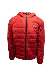 Kurtka męska DC Shoes Turner Puffer Hooded. Kolor: czerwony. Materiał: puch. Sport: turystyka piesza