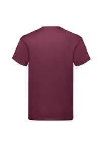 FRUIT OF THE LOOM - Oryginalna Bawełniana Koszulka Unisex Dla Dorosłych. Kolor: czerwony, wielokolorowy, brązowy. Materiał: bawełna
