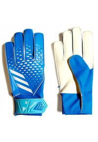Rękawice bramkarskie treningowe męskie Adidas Predator. Kolor: niebieski #1