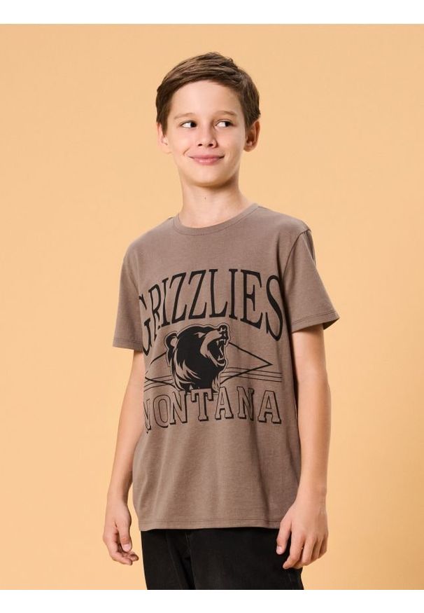 Sinsay - Bawełniana koszulka z napisem - brązowy. Kolor: brązowy. Materiał: bawełna. Wzór: napisy