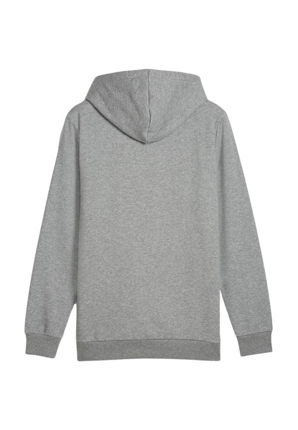 Puma - Męska Bluza Z Logo Essentials 68177. Kolor: szary