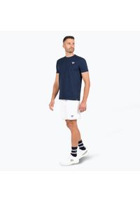 TECNIFIBRE - Koszulka męska Tecnifibre Graphic Tee. Kolor: niebieski. Sport: tenis