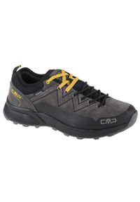 Buty trekkingowe męskie, CMP Kaleepso Low Hiking. Kolor: szary, wielokolorowy, czarny. Sport: turystyka piesza