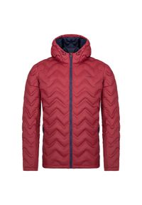 ZEAGLE - Męska kurtka zimowa LOAP, lekka, odporna na wodę, rozmiar S. Kolor: fioletowy. Sezon: zima. Sport: narciarstwo #1