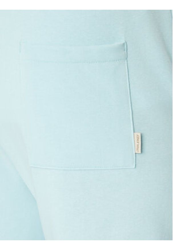 Blend Szorty sportowe 20718381 Niebieski Regular Fit. Kolor: niebieski. Materiał: bawełna, syntetyk. Styl: sportowy