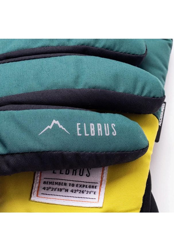 Rękawice zimowe Elbrus POINTE. Kolor: czarny. Sezon: zima