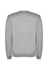 ROLY - Bluza Dziecięca Clasica Z Okrągłym Dekoltem. Kolor: szary