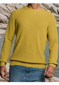 Sinsay - Bawełniany sweter basic - żółty. Kolor: żółty. Materiał: bawełna