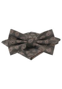 Mucha Męska w Zestawie z Poszetką - Alties - Popiel i Brąz, Paisley. Kolor: beżowy, wielokolorowy, brązowy. Wzór: paisley. Styl: elegancki, sportowy #1