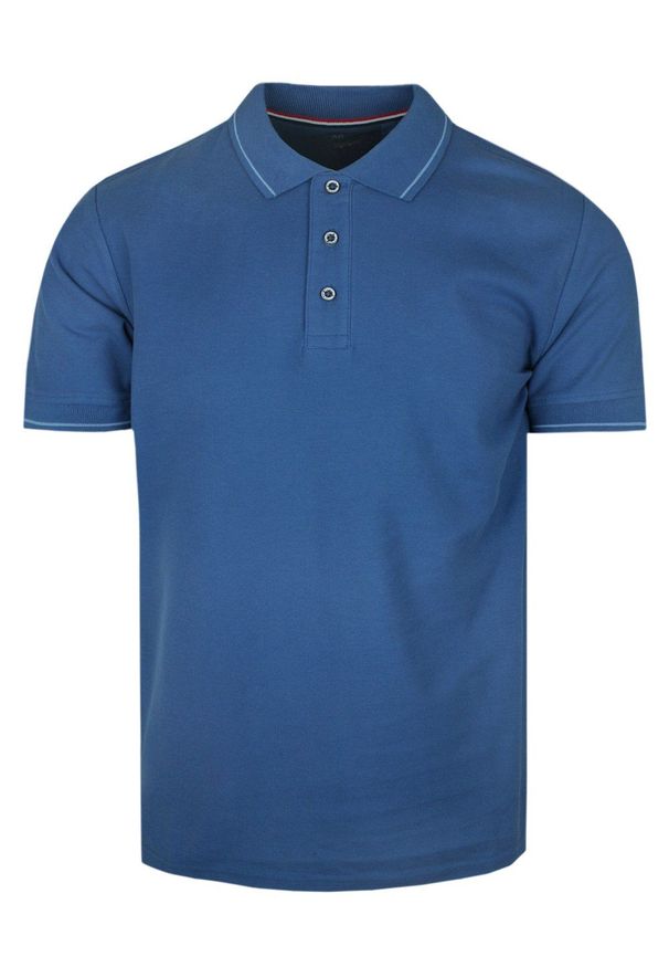 Klasyczna, Męska Koszulka Polo - Adriano Guinari - Niebieska. Typ kołnierza: polo. Kolor: niebieski. Materiał: bawełna. Styl: klasyczny