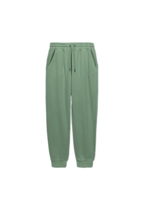 PITBULL - Spodnie męskie Pitbull Lancaster 2 Track Pants. Kolor: zielony
