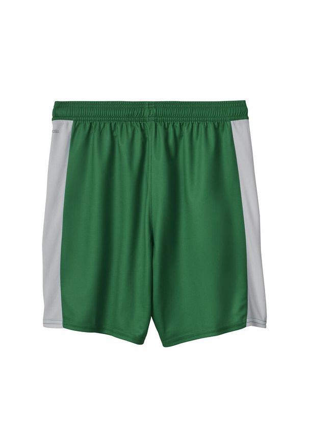 Puma - Męskie szorty SK Rapid Wiedeń 25/26 PUMA White Sport Green. Kolor: zielony, biały, wielokolorowy. Sport: fitness
