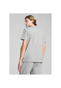 Puma - Męska koszulka Essentials Elevated PUMA Light Gray Heather. Kolor: wielokolorowy, czarny, szary. Wzór: aplikacja, haft