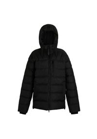 Regatta - Kurtka męska zimowa ocieplana Leeshaw. Kolor: czarny. Materiał: poliester, puch, syntetyk. Sezon: zima. Sport: turystyka piesza #1