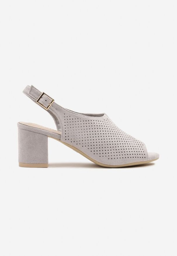 Renee - Szare Sandały na Słupku ze Skórzaną Wkładką i Ażurową Cholewką Telesetia. Okazja: na co dzień. Kolor: szary. Materiał: skóra. Wzór: ażurowy. Obcas: na słupku. Styl: casual, elegancki