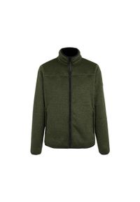 Polar zapinany na zamek błyskawiczny Regatta Branleigh. Kolor: zielony, brązowy, wielokolorowy. Materiał: polar. Sport: turystyka piesza #1