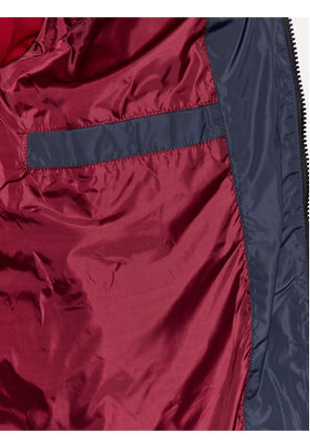 Volcano Kurtka zimowa J-Lyss M06186-W24 Granatowy Regular Fit. Kolor: niebieski. Materiał: syntetyk. Sezon: zima