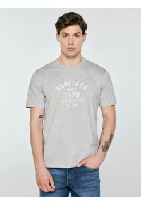 Big-Star - Koszulka męska z nadrukiem szara Serter 901. Okazja: na co dzień. Kolor: szary. Materiał: materiał, bawełna, denim, dzianina, skóra. Długość rękawa: krótki rękaw. Długość: krótkie. Wzór: nadruk. Styl: klasyczny, casual #1