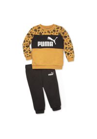 Dres Puma Essentials dziecięcy. Kolor: czarny. Materiał: dresówka #1