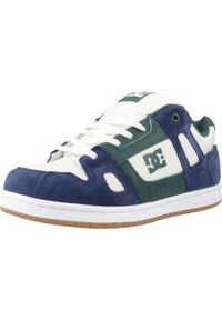 DC Shoes - Buty DC STAG YOUTH Niebieski. Kolor: niebieski. Materiał: tkanina, skóra, syntetyk. Sport: turystyka piesza #1