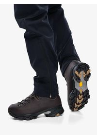 Buty trekkingowe damskie Zamberlan Vioz GTX. Kolor: brązowy. Styl: sportowy